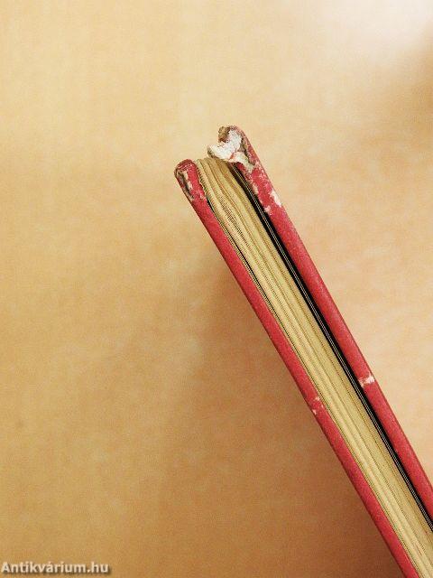 Ismerkedjünk a ritmussal