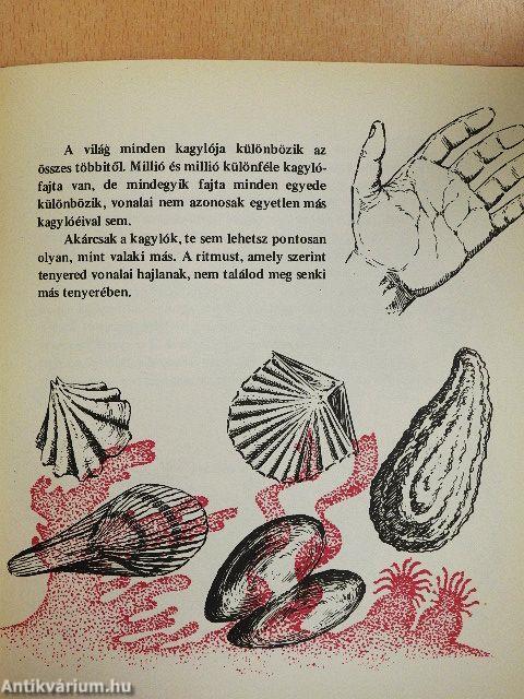 Ismerkedjünk a ritmussal