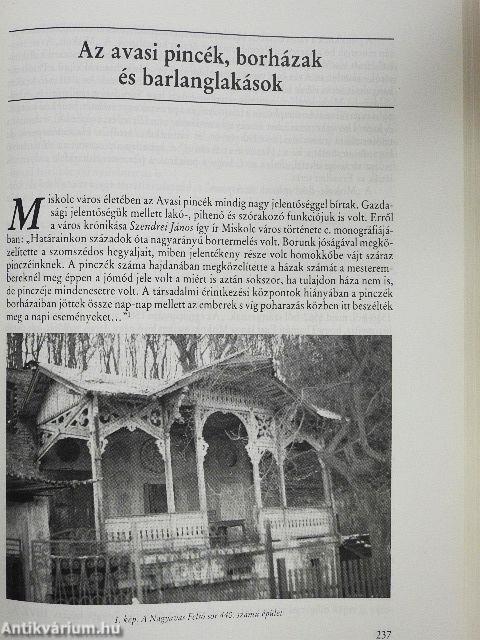 A miskolci Avas
