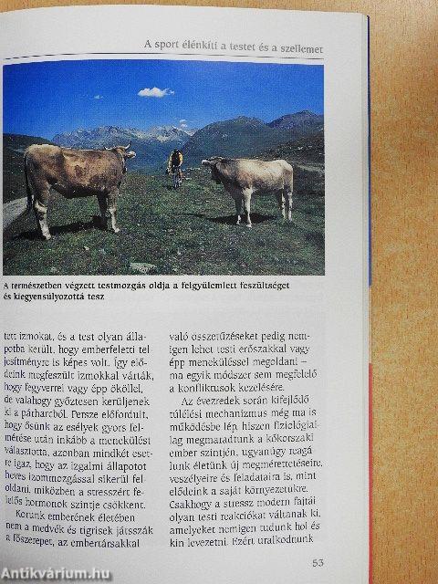 Hegyikerékpározás