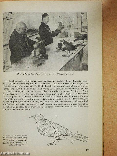 Állatpreparátumok készítése