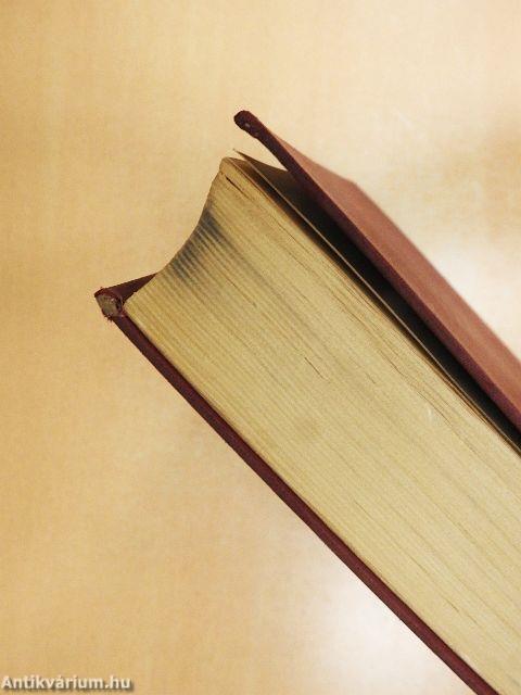 Der Geist der Englischen Politik und das gespenst der Einkreisung Deutschlands