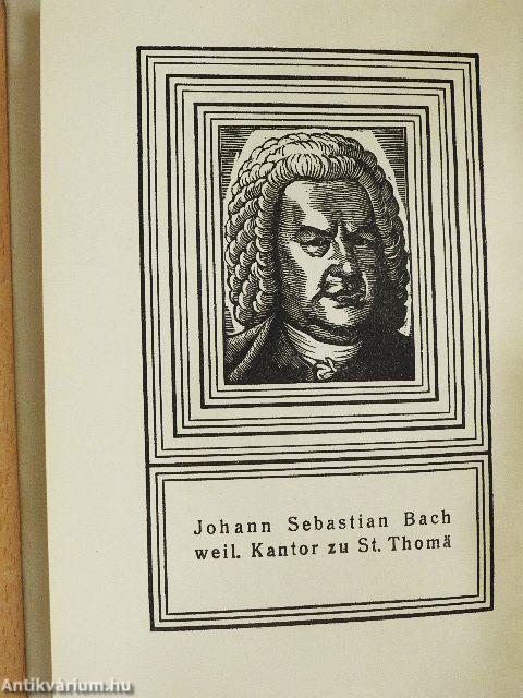 Die kleine Chronik der Anna Magdalena Bach