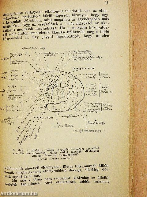 Az emberi elme I. (töredék)