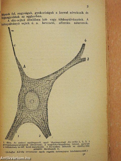 Az emberi elme I. (töredék)