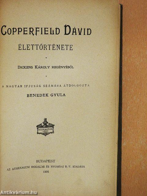 Copperfield Dávid élettörténete