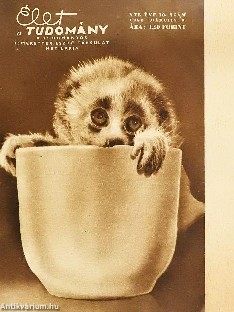 Élet és Tudomány 1961. március 3.