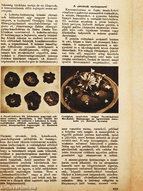 Élet és Tudomány 1960. július 31.