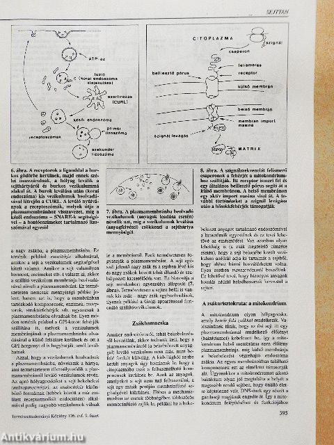 Természet Világa 1995. szeptember