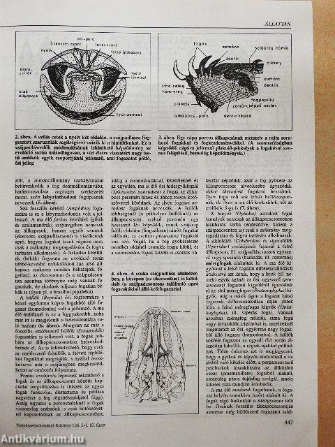 Természet Világa 1995. október