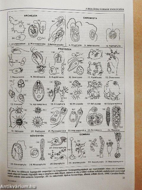 Természet Világa 1995. I. Különszám