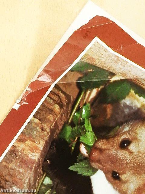 Élet és Tudomány 1995. január-december