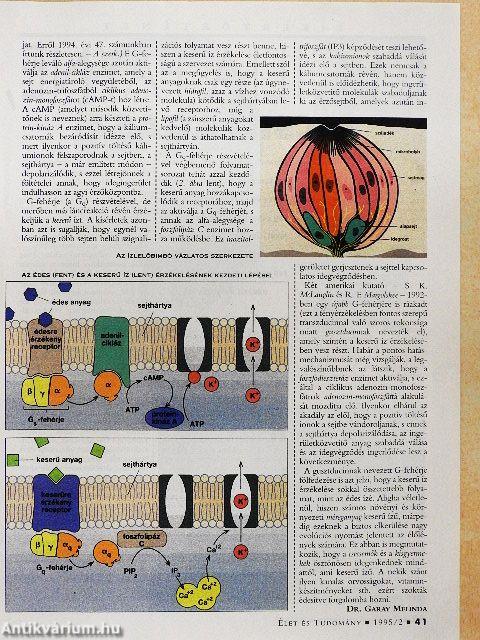 Élet és Tudomány 1995. január-december