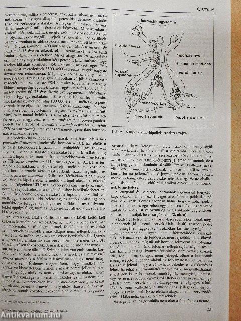 Természet Világa 1996. (nem teljes évfolyam)/II. Különszám