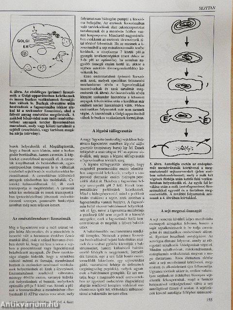 Természet Világa 1996. (nem teljes évfolyam)/II. Különszám