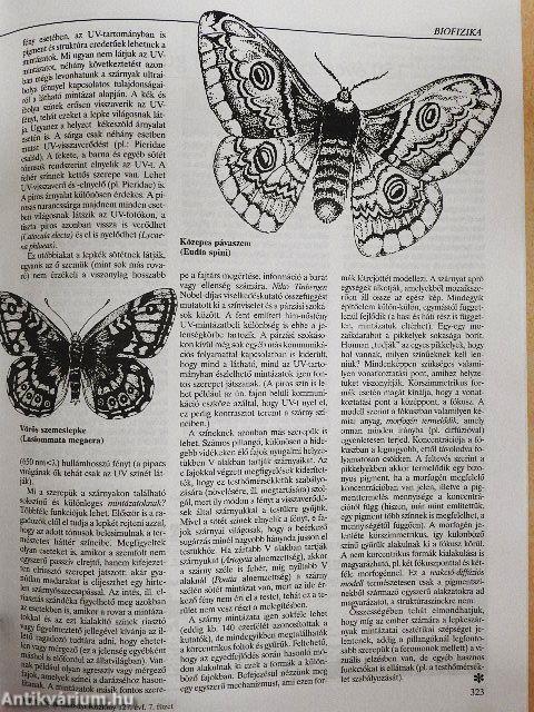 Természet Világa 1996. (nem teljes évfolyam)/II. Különszám