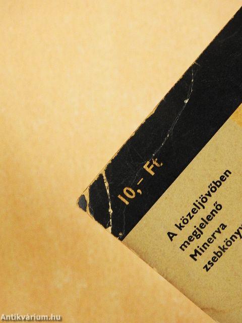 A magyar művészet a XIX. és a XX. században