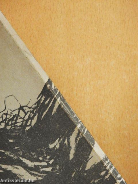 A szülőföld hívása