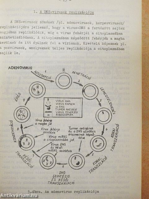 Állatorvosi mikrobiológia III.