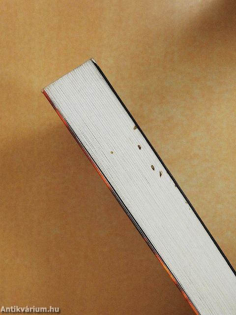 Fejezetek a rácjárások történetéből