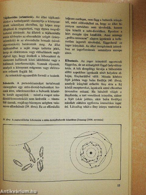 Hogyan viselkednek az állatok
