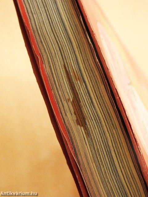 Lányok Évkönyve 1974