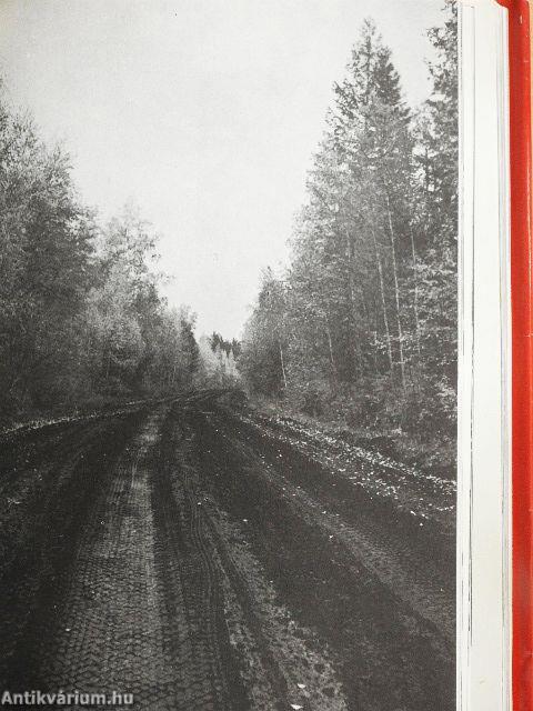 Lányok Évkönyve 1974