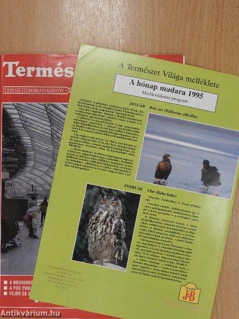 Természet Világa 1995. október