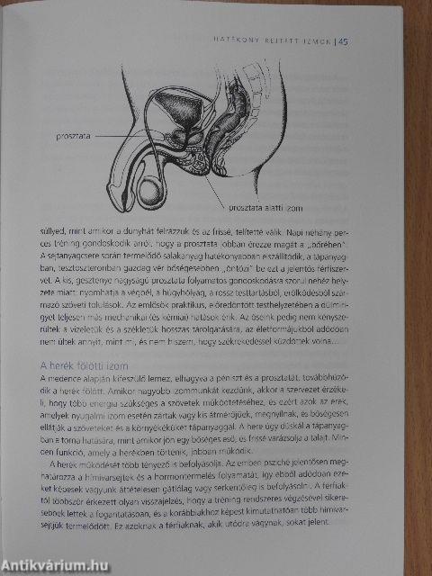 Kriston intim torna férfiaknak