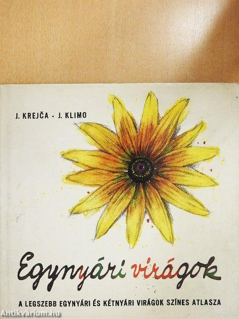 Egynyári virágok