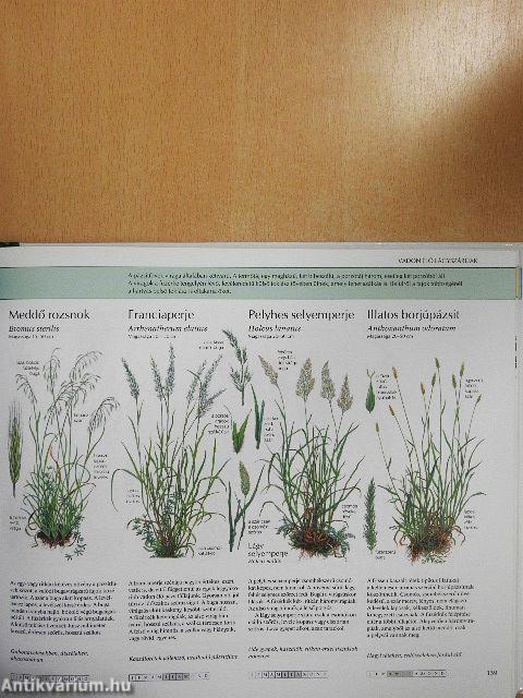 Természetbarátok kézikönyve