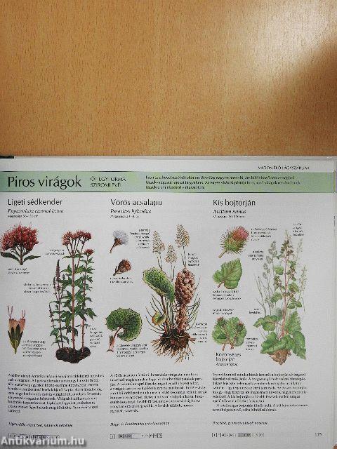 Természetbarátok kézikönyve