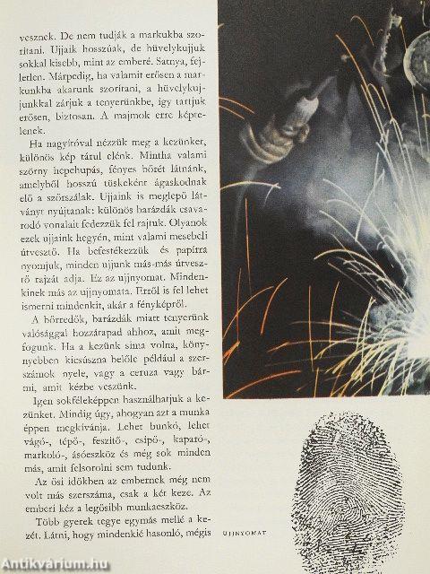 A gépek születése