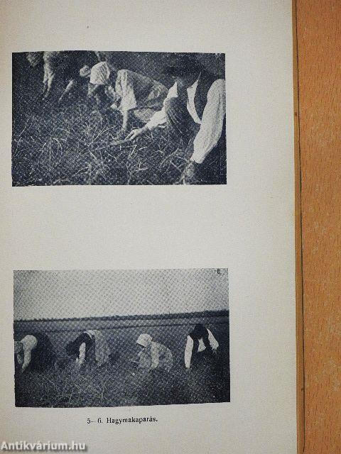 Föld és Ember 1927/1-4.