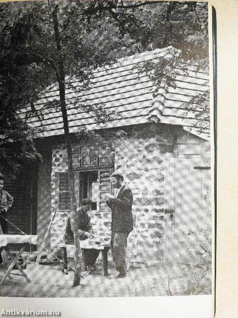 Balatoni horgászkalauz