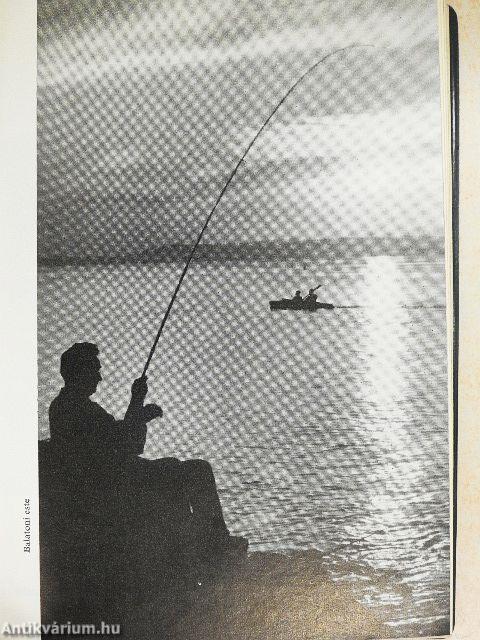 Balatoni horgászkalauz