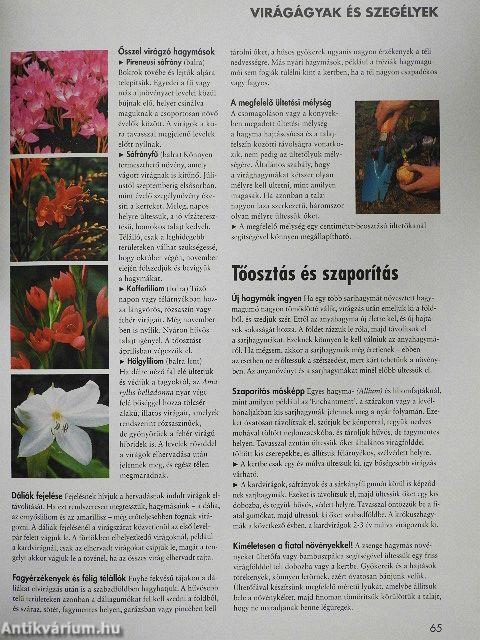 Titkok és ötletek nagyapáink kertjéből