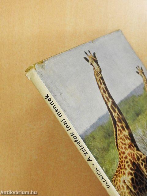 A zsiráfok inni mennek