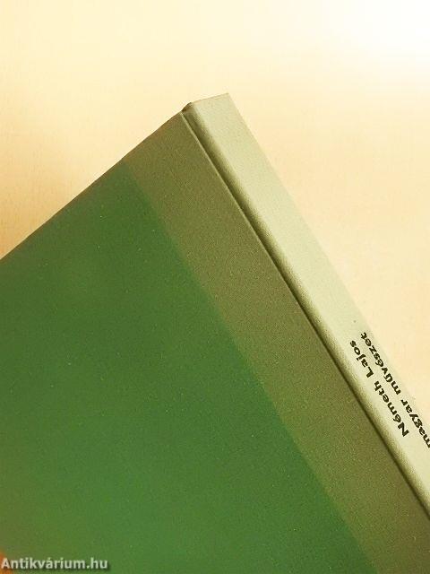 Modern magyar művészet