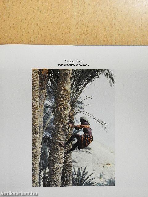 Ősi karavánutak földjén