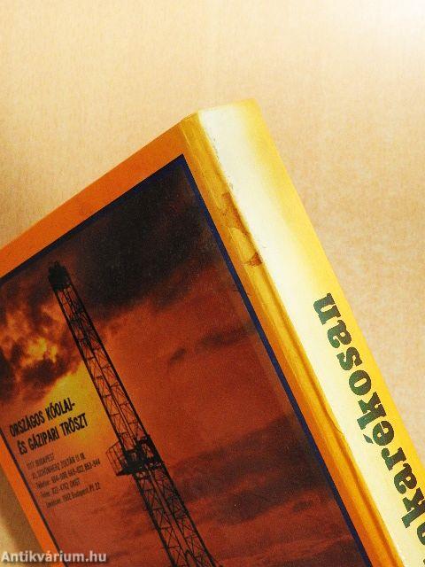 Főzőcske takarékosan