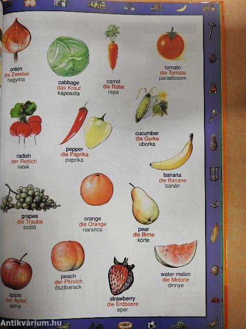 Képes gyermekszótár