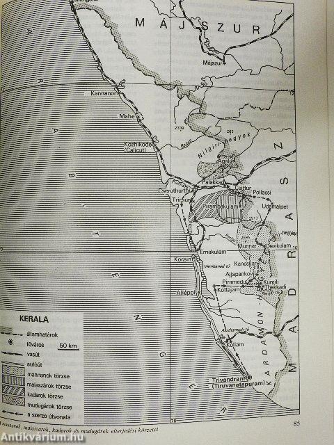 A dzsungel ösvényei