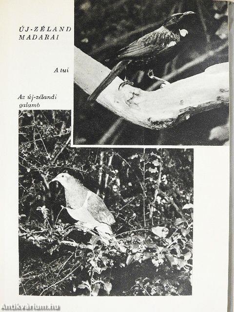 Hosszú fehér felhő