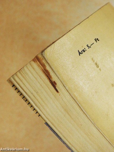 A giccs az irodalomban 