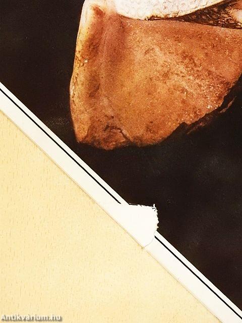 Élet és Tudomány 1994. január-december