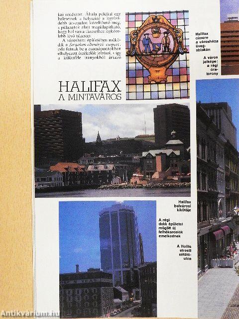 Élet és Tudomány 1994. január-december