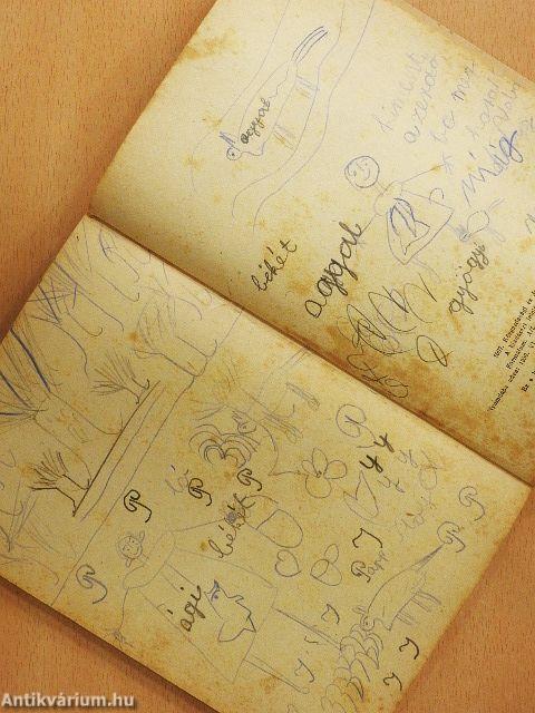 Disznóölés - feldolgozás