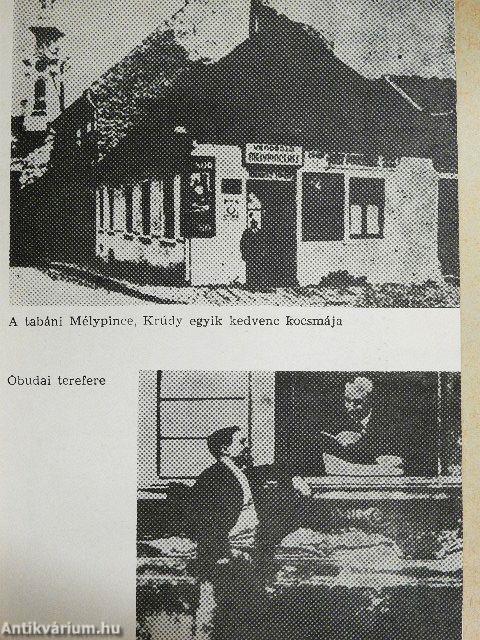 Krúdy Gyula postakocsiján