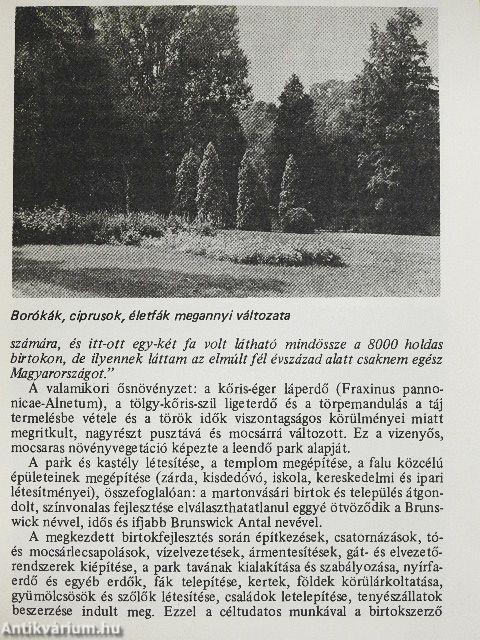 Martonvásár - Kastélypark